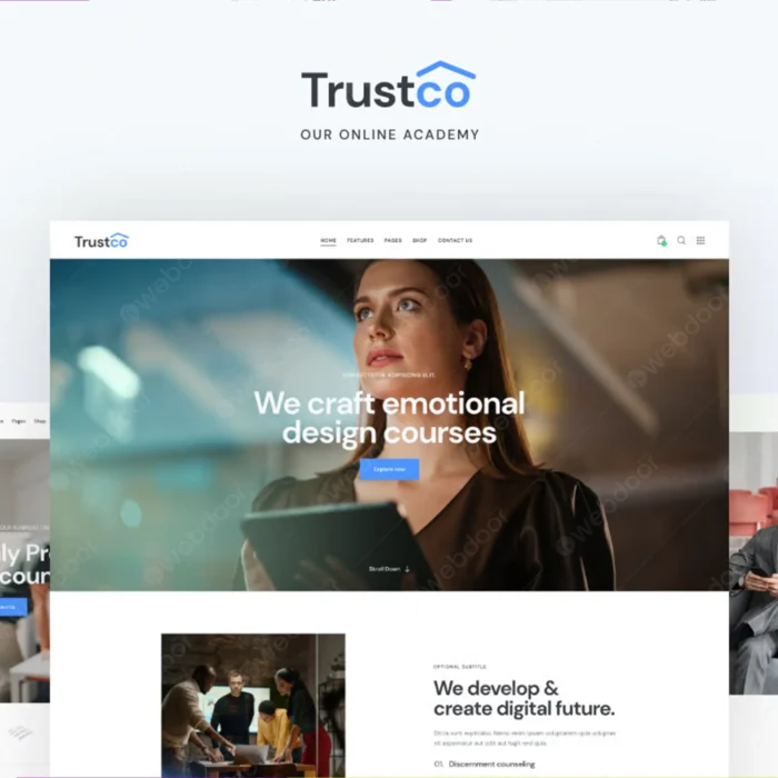 Insurance Theme